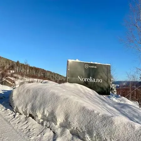 Vakantiehuis Norefjell, Ny Og Flott 4 Soverom Noresund